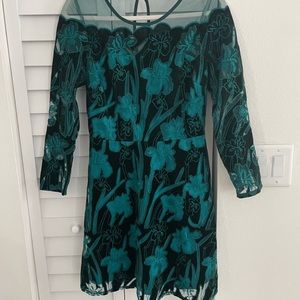 Eva Franco Anthropologie dress